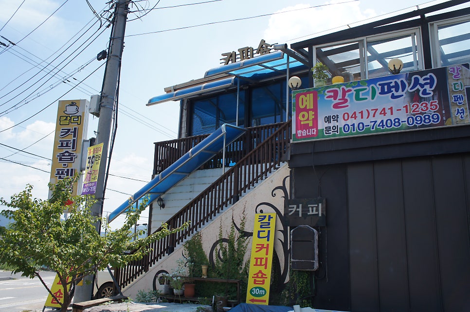 칼디펜션 사진 3