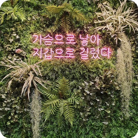  대구클럽펫월드/방문후기/강아지수영장&야외운동장