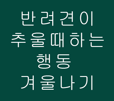 반려견이 추울때하는 행동 겨울나기 반려견이 추울때하는 행동 겨울나기