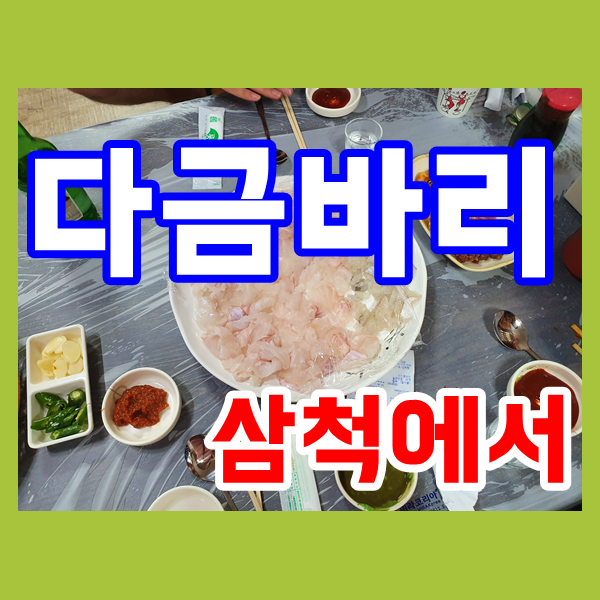  다금바리 환선굴 대금굴 삼척에서 만나다
