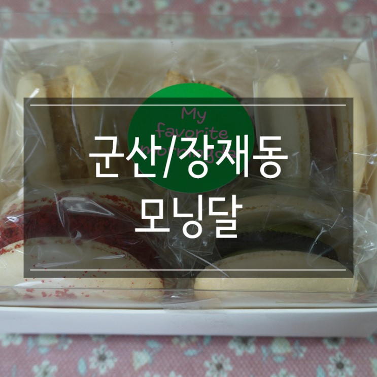 군산 마카롱 맛집 &lt;모닝달&gt; 무색소 건강한 간식 꿀맛탱