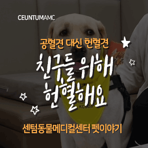  [동물뉴스]공혈견 대신 헌혈견! 친구들 위해 헌혈해요(센텀동물메디컬센터, 부산분과전문동물병원, 365일연중무휴)
