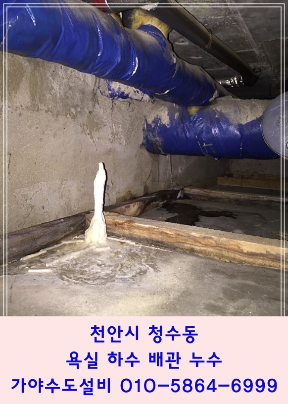 천안 청수동 극동아파트 화장실누수 욕실천장누수 pvc배관수리 및 아랫층천장교체시공 리빙보드천장시공 화장실천장교체시공