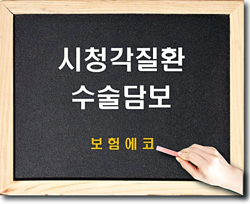  태아보험 시청각질환수술 알아보기