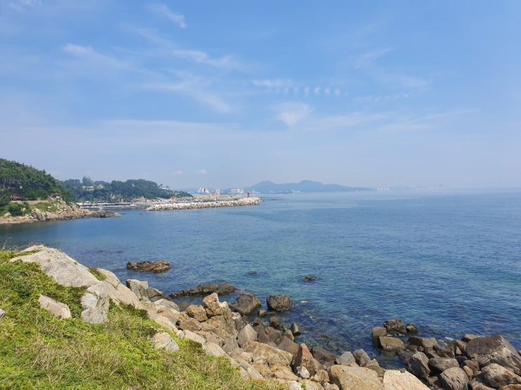  [울산여행/엄마랑딸] 급하게 떠난 울산 당일치기