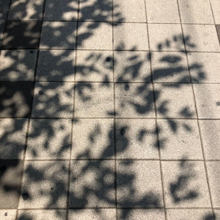  안녕, 드라큘라