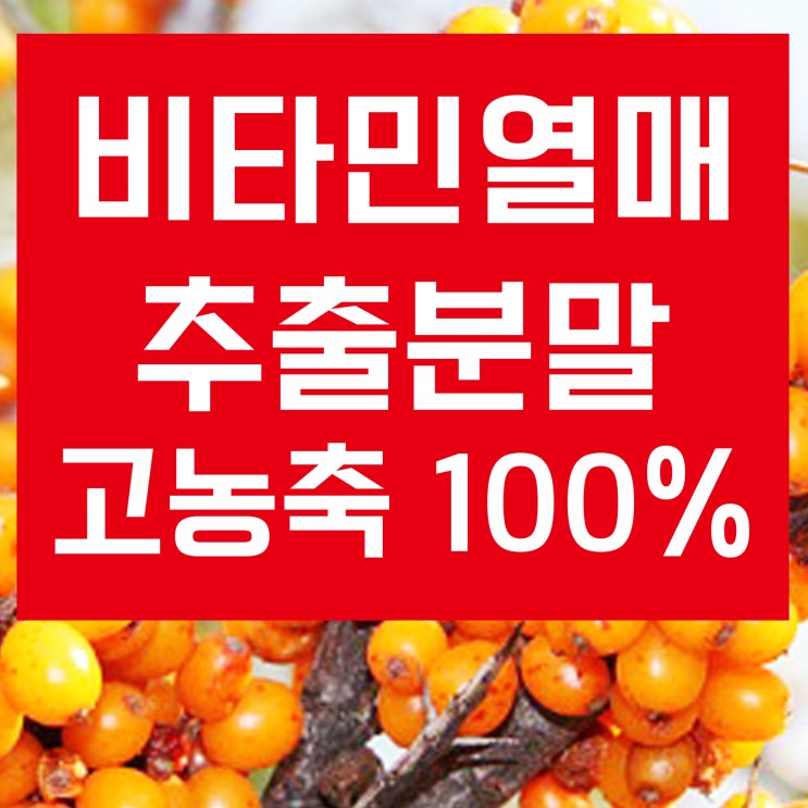  비타민 나무 열매 가루(분말)효능과 먹는법(산자나무)