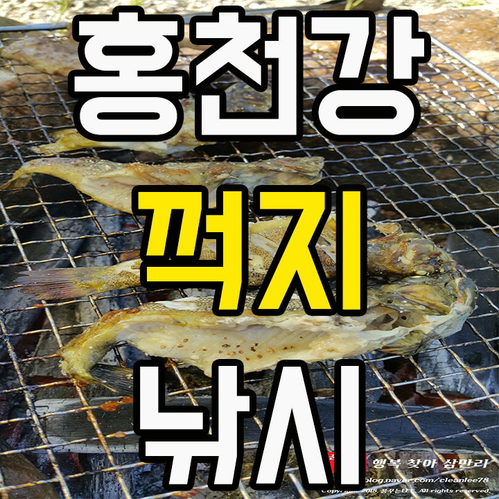 강원도 홍천강 민물낚시 꺽지 잡다