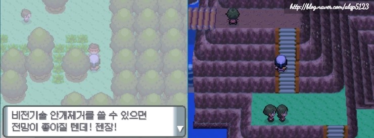  포켓몬스터 디아루가 봉신마을 