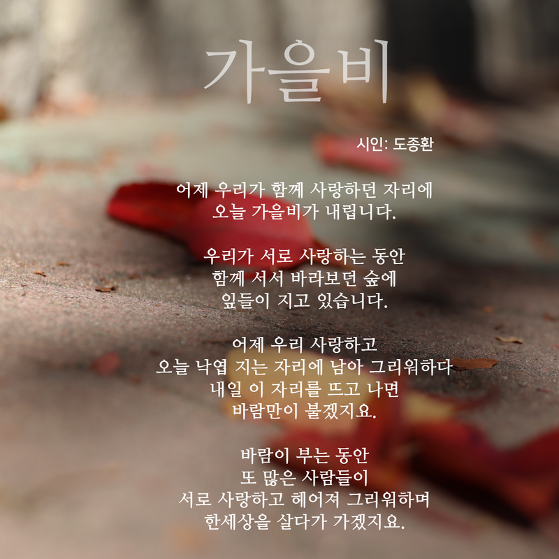 가사 좋은 노래 '가을비' 도종환 : 네이버 블로그