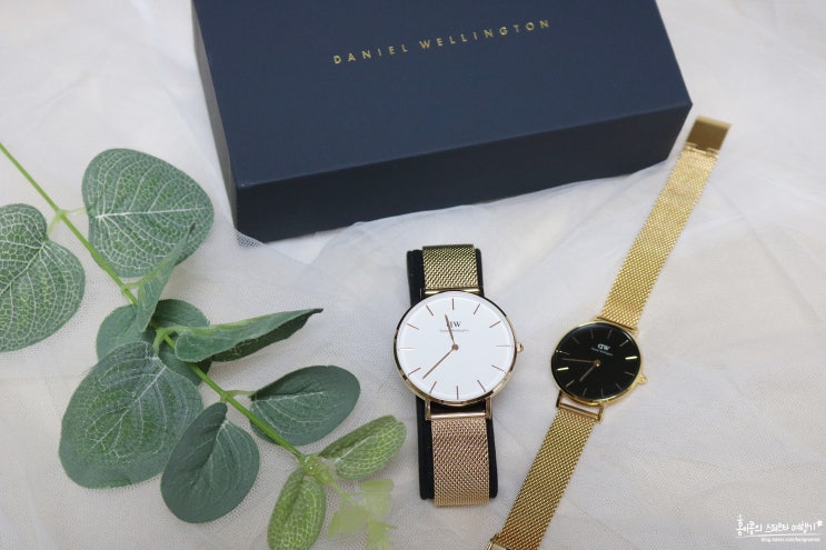  다니엘 웰링턴 이성경시계 GRAND PETITE 36mm 출시