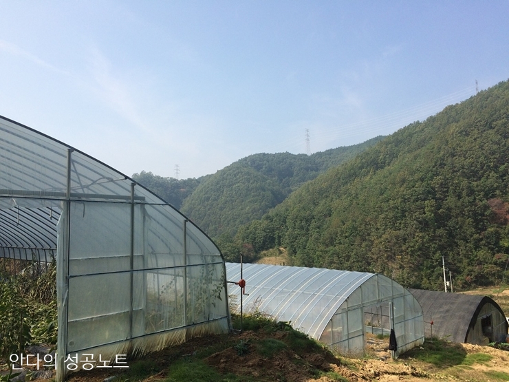  정보와 입지가 토지투자에 왜 중요한가