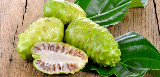  착한레시피) 노니(NONI)