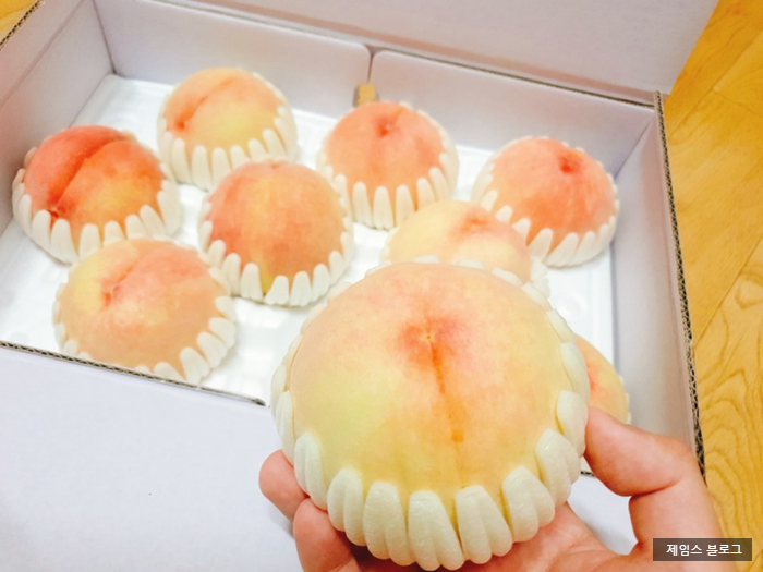  맛있는 복숭아 추천 충북 아리향 복숭아 리뷰 !