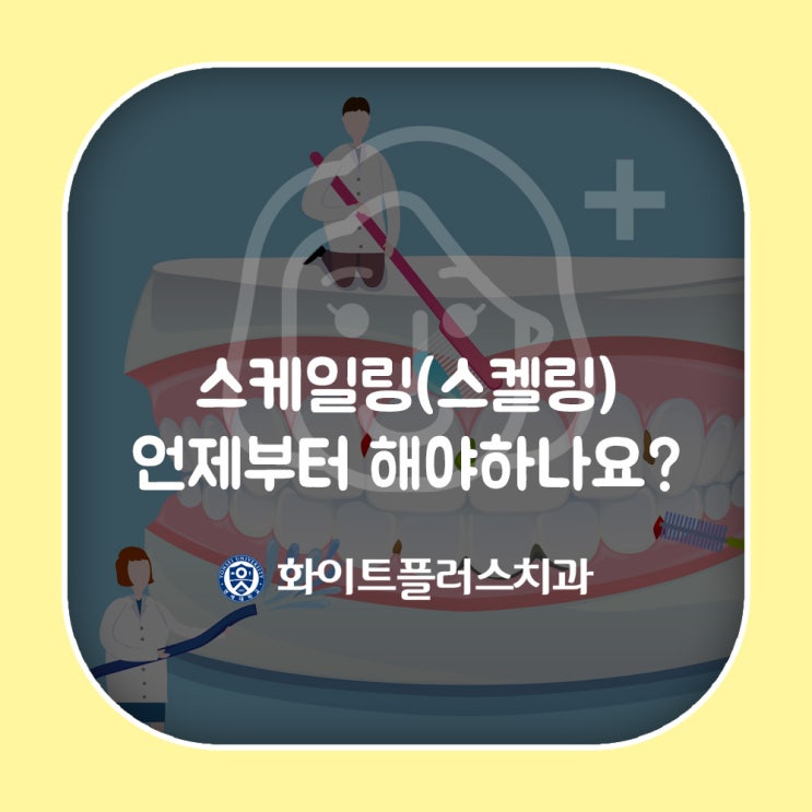  스케일링(스켈링) 언제부터 해야하나요?