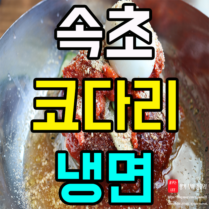  송도 속초코다리냉면 맛집 인정 존맛탱