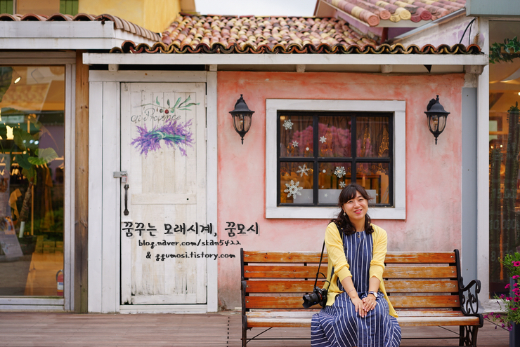  파주) 프로방스마을/러브인프로방스빛축제