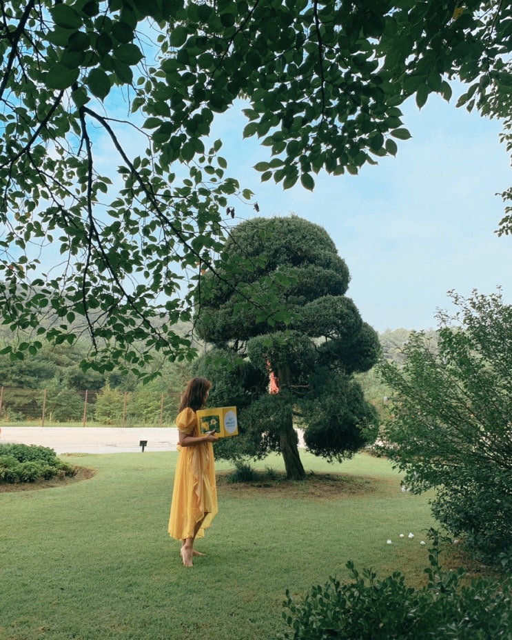  오늘 세부퍼시픽항공 특가! 필리핀여행 인기 노선 BEST 5! (보라카이/세부/마닐라/클락/팔라완)