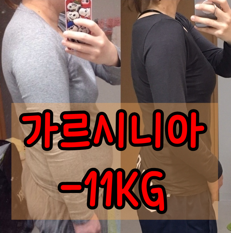  가르시니아추천 곡물가루로 -11kg