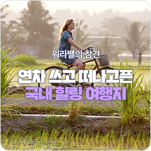  '먹고 기도하고 사랑하라' 보고 자극받아 떠날 국내 여행지! [워라밸의 참견]