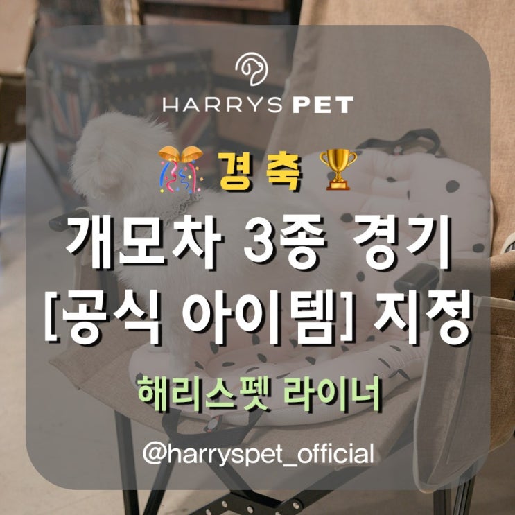  용인펫샵 절대 가져가야 할 취향저격템 리스트업