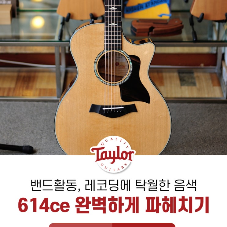  [악기이야기] 테일러 614ce