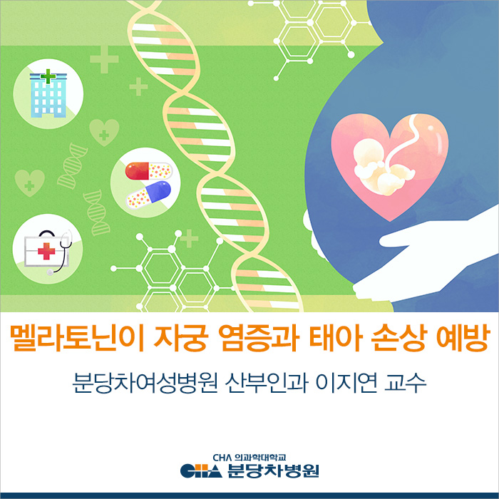  분당 차병원 산부인과 이지연 교수- 멜라토닌이 자궁 내 염증을 줄이고 태아 손상 예방한다