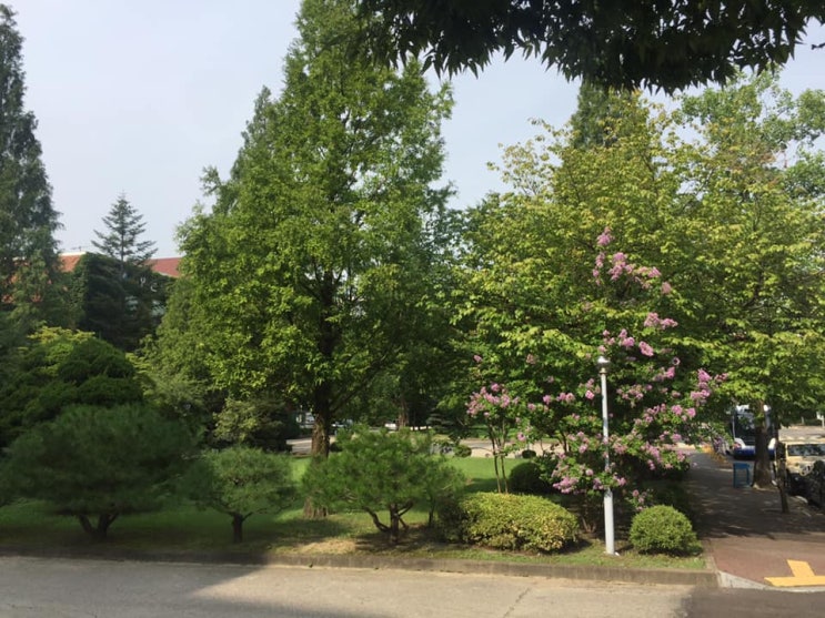  수원대학교 모의해킹 강의가 끝나가고 있습니다.^^