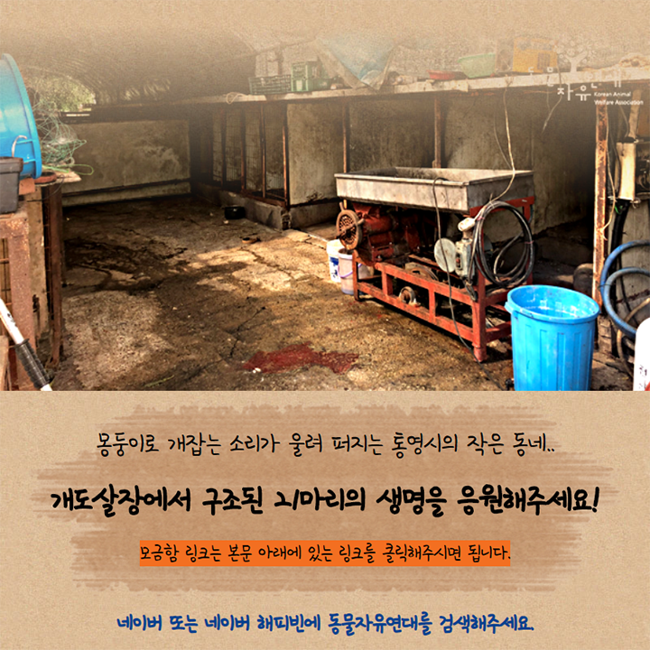  해피빈 모금함 '몽둥이로 개 잡는 잔혹한 소리가 울리는 작은 동네'에 동참해 주세요!