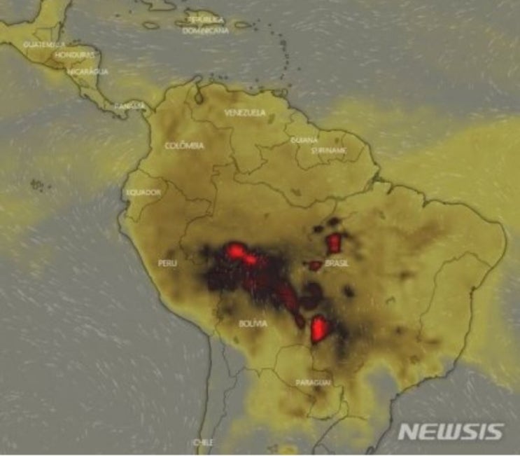  save the amazon 아마존 화재