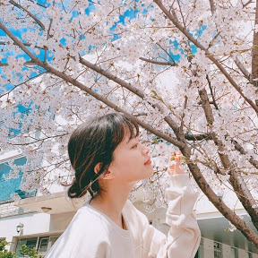  연예인 유튜브 추가!