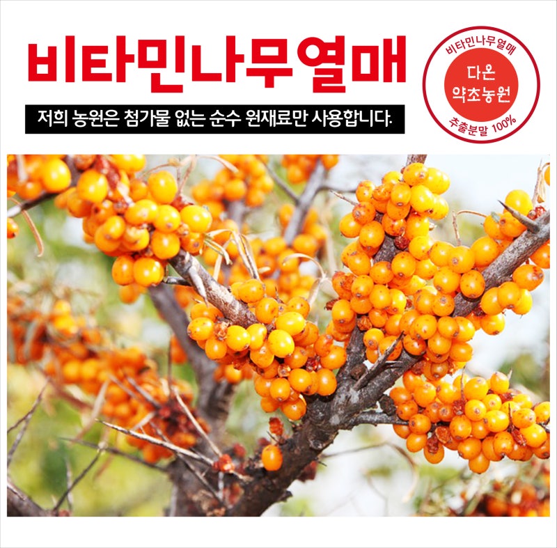 비타민 나무 열매 가루의 효능과 먹는 방법 및 부작용(주의사항)은?