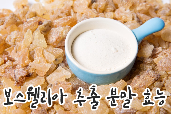  무릎 통증에 좋은 보스웰리아 추출 분말