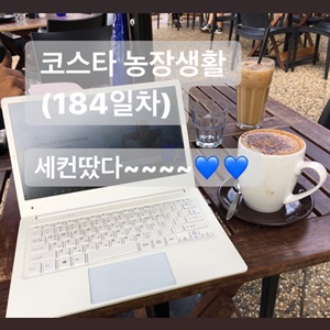  [호주워홀 D+347] 코스타 184일차/요즈음/세컨비자 승인!/말라웨이 햄버거(General store)/슈가밀(Sugar mill)/비치하우스 카페(Beachouse cafe)