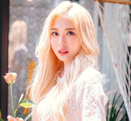 "양팡, 식사 거절에 배신감" 열혈팬 '극단적 선택 시도' "양팡, 식사 거절에 배신감" 열혈팬 '극단적 선택 시도'