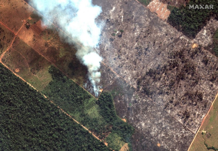 [이슈] 아마존 화재 전세계로 확산, 브라질 "주권 침해" 강력반발!
