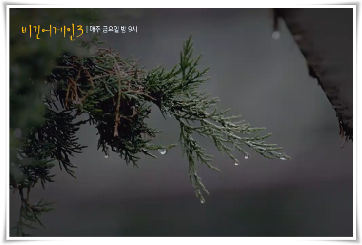  [방송여행_서울] JTBC 비긴어게인3 in 서울 당신의 BGM이 되어 드립니다 6회 본방중