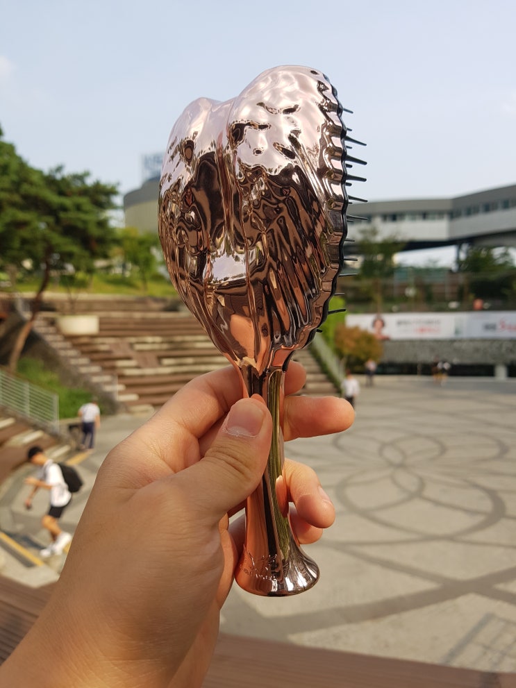  나혼자산다 화사가 사용한 화사빗 손상모 브러쉬 탱글엔젤프로!!!