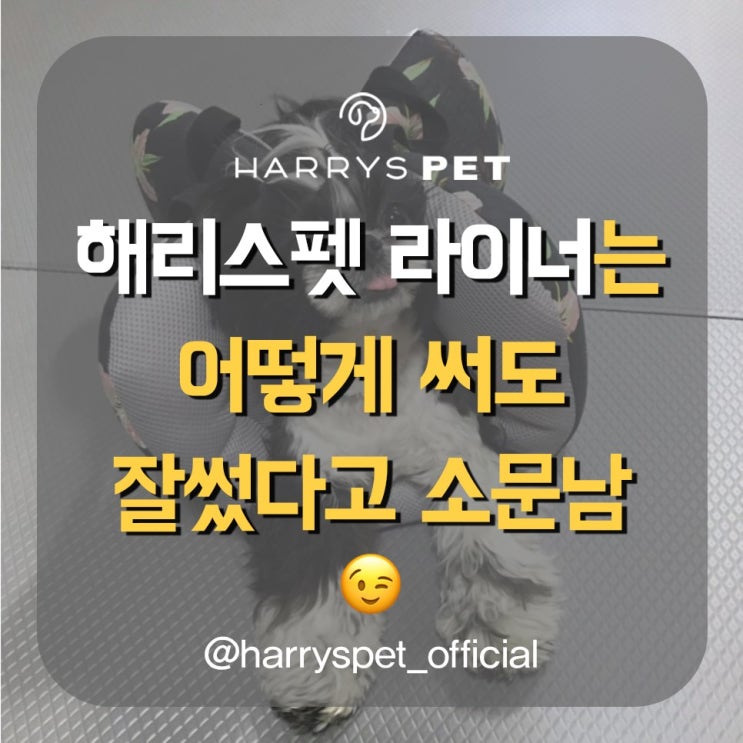  애완용품점 항상 휴대하게 돼버리는 대단한 씬스틸러