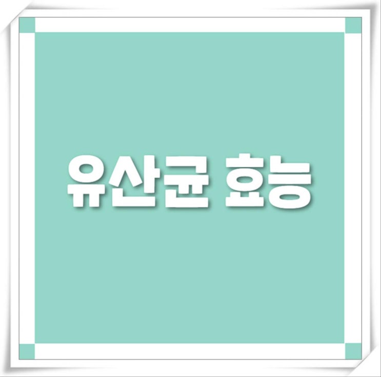  모유유산균 진정한 가성비 들어보셨나요?