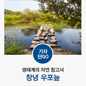  [경상남도 습지 / 창녕 가볼만한곳 / 창녕 생태계] 국내 최대 내륙습지 생태계의 자연 참고서, 창녕 우포늪