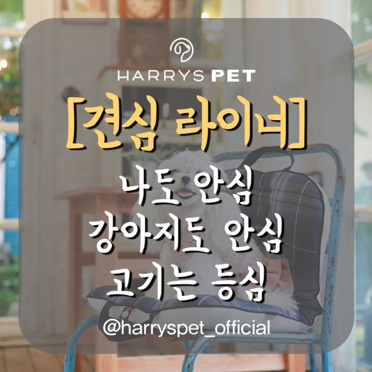  애견하네스 나날이 들게 되는 크레이지한 존재감