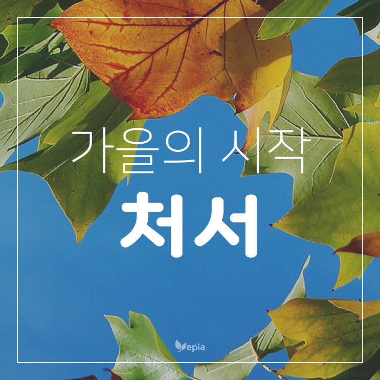  『처서』 14번째 절기, 가을의 시작!