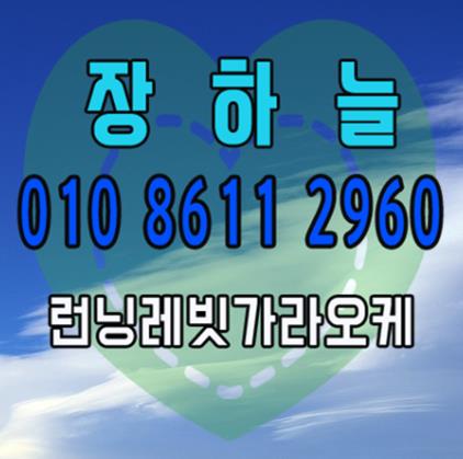 강남 선릉 역삼 논현 셔츠룸 레깅스룸 란제리룸 고쇼토느뉴 ...
