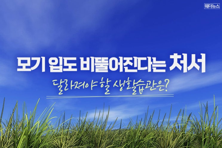  [웨더뉴스] 모기 입도 비뚤어진다는 처서! 달라져야 할 생활습관 모음 ZIP