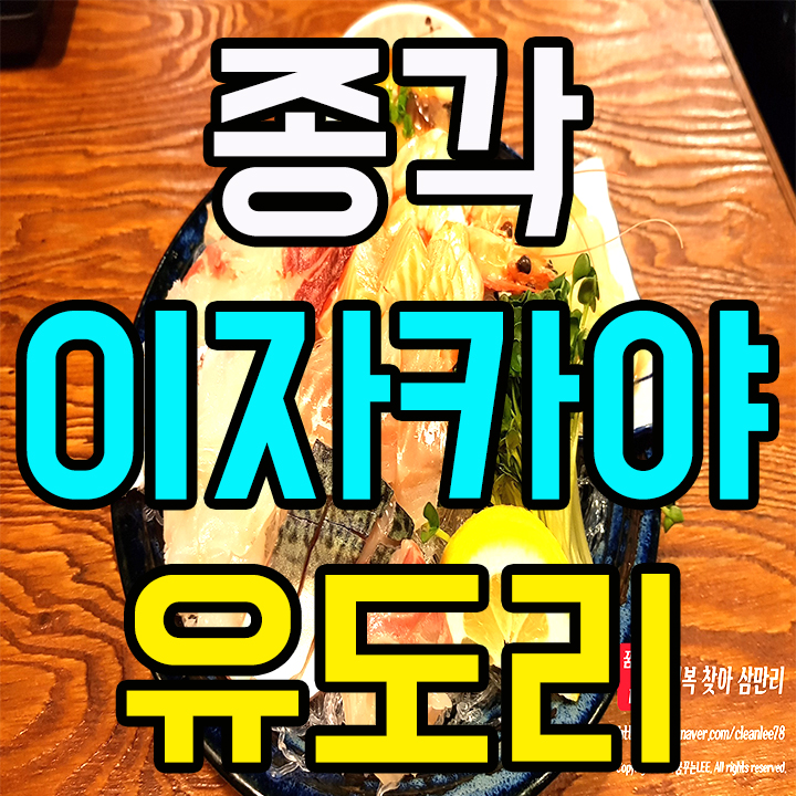  종각 이자카야 분위기 좋은 술집 유도리