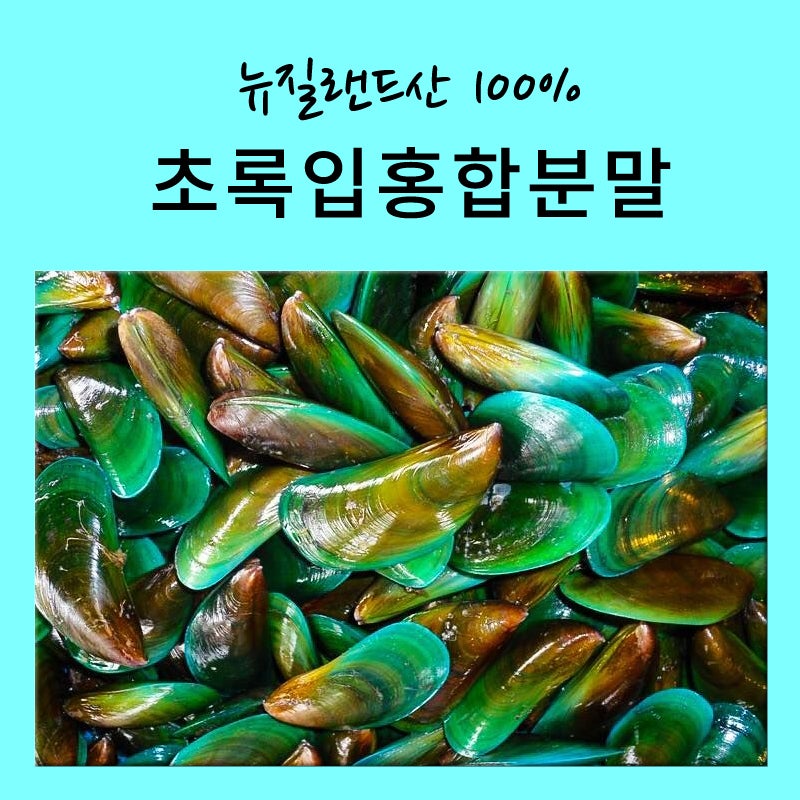 뉴질랜드 초록홍합효능 초록잎홍합(초록입홍합분말)부작용정리