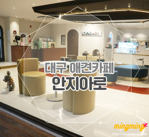  대구 애견카페 @ 안지아로 , 다들 추천하는 이유가 있꾸만