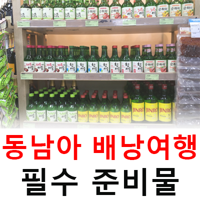  동남아 배낭여행 시 챙겨야 할 준비물