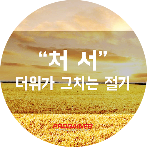  더위가 그치는 절기, 처서 ( 處暑 ) 란? - [ 프로게이너 ]
